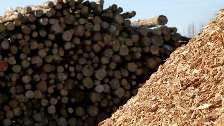 Holzpolter im Hintergrund, davor ein Haufen Frischholzhackschnitzel