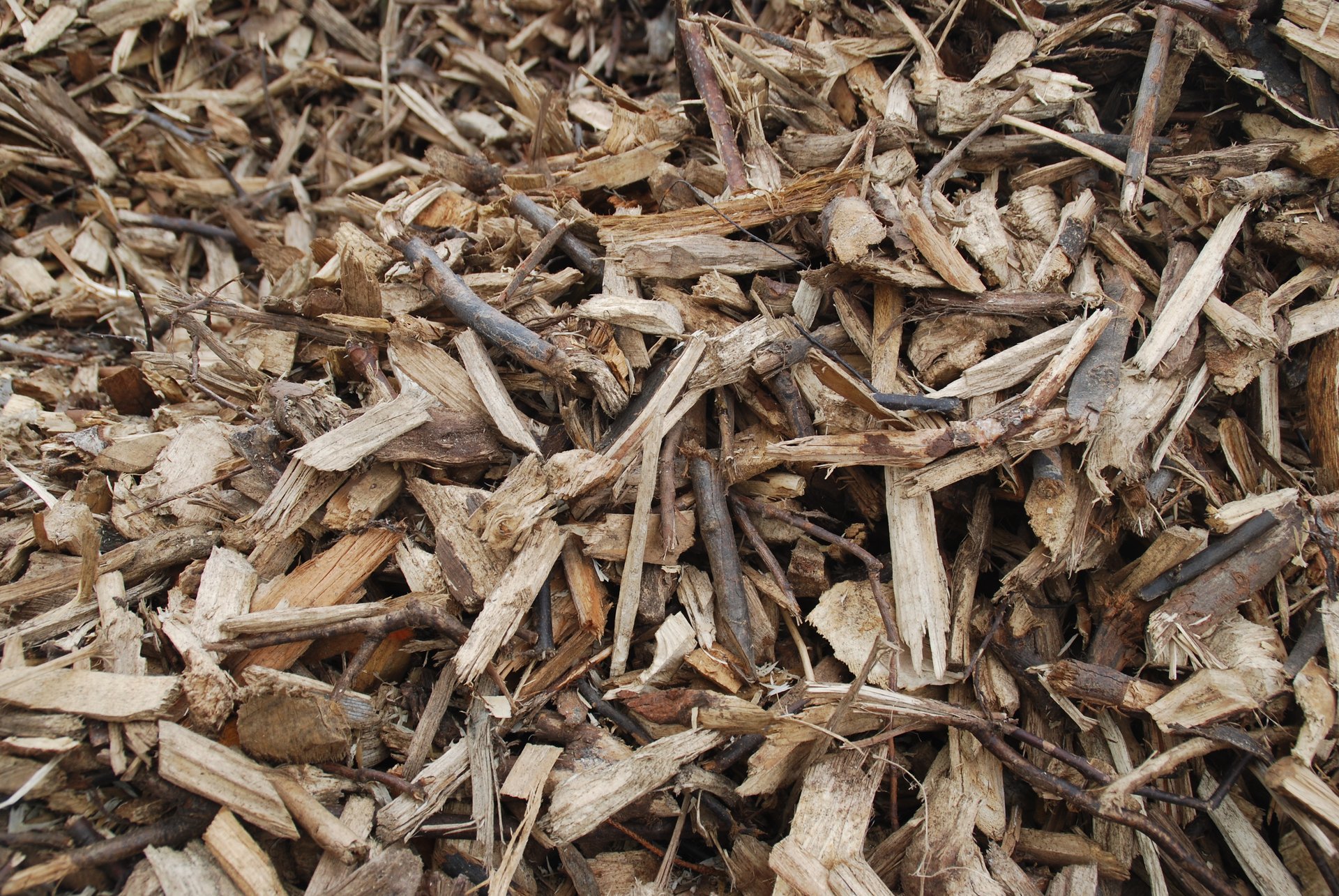 Frischholzhackschnizel als Biofilter